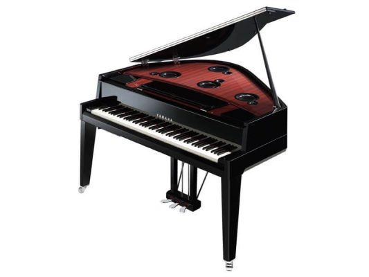 Tìm Hiểu Và Phân Biệt Các Loại Đàn Piano 4 dan-piano-dien-dang-grand