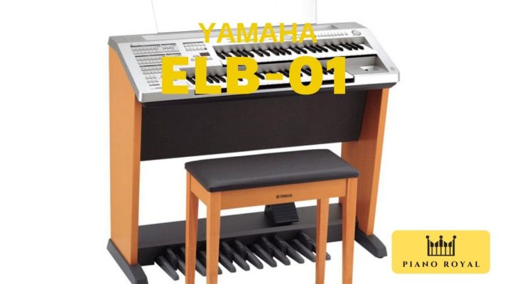Tìm hiểu Electone Yamaha ELB-01 2 Electone Yamaha ELB01