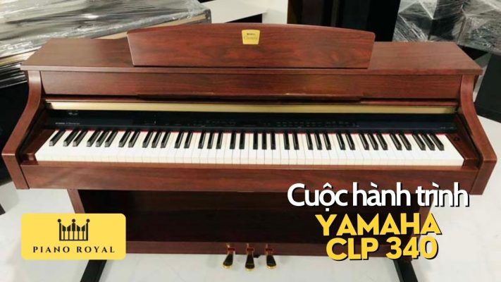 Cuộc hành trình đàn Piano Yamaha CLP 340 2 hanh trinh dan piano yamaha clp 340 3