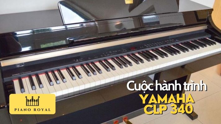 Cuộc hành trình đàn Piano Yamaha CLP 340 1 hanh trinh dan piano yamaha clp 340 4