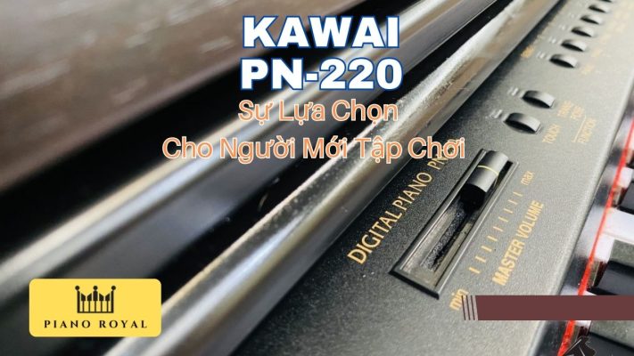 piano dien kawai PN 250 4