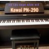 Piano điện Kawai PN-290 2 Piano điện Kawai PN-290