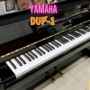Piano điện Yamaha DUP-1