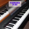 Piano điện Casio P-85 1 Piano điện Casio P-85