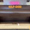 Piano điện Yamaha SCLP-5450 2 Piano điện Yamaha SCLP-5450
