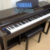 Piano điện Yamaha SCLP-6350