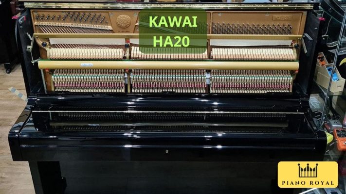 Kawai HA20 