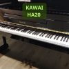 Kawai HA20
