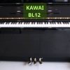 Đàn Piano Cơ Kawai BL12
