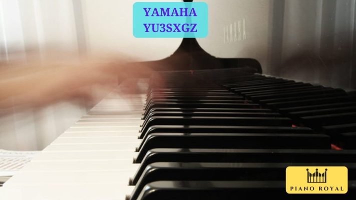 Yamaha YU3SXGZ