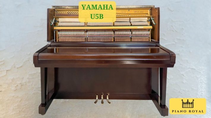 Đàn Piano Cơ Yamaha U5B Đàn Piano Cơ Yamaha U5B