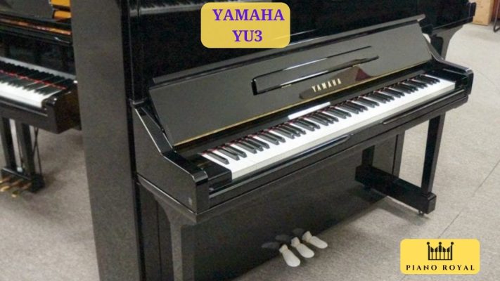 Đàn Piano Cơ Yamaha YU3 5 Đàn Piano Cơ Yamaha YU3