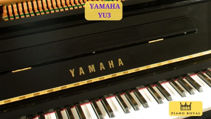 Đàn Piano Cơ Yamaha YU3 8 Đàn Piano Cơ Yamaha YU3