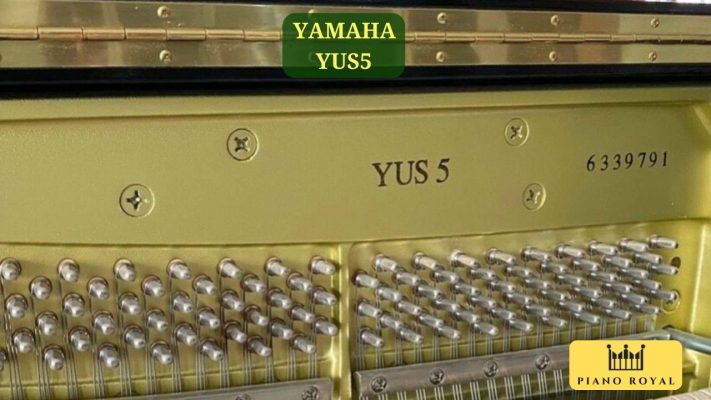 Dan Piano Co Yamaha YUS5 3