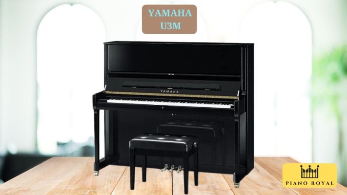 Yamaha U3M khám phá âm thanh đặc sắc nhất 1 Đàn Piano Cơ Yamaha U3M