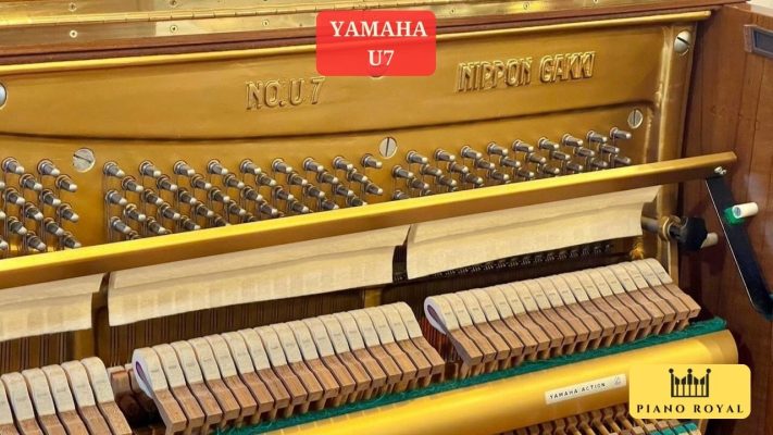 Đàn Piano Cơ Yamaha U7 PIANO ROYAL