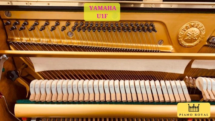 Đàn Piano Cơ Yamaha U1F