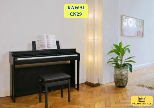 Đàn Piano Điện Kawai CN29