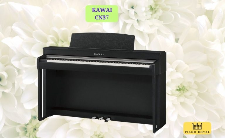 Đàn Piano Điện Kawai CN37