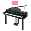 Đàn Piano Điện Roland RG-1 2 Đàn Piano Điện Roland RG-1