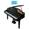 Đàn piano điện Roland RG-3M