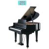 Đàn piano điện Roland RG-7-R