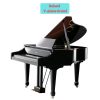 Đàn piano điện Roland V-Piano Grand