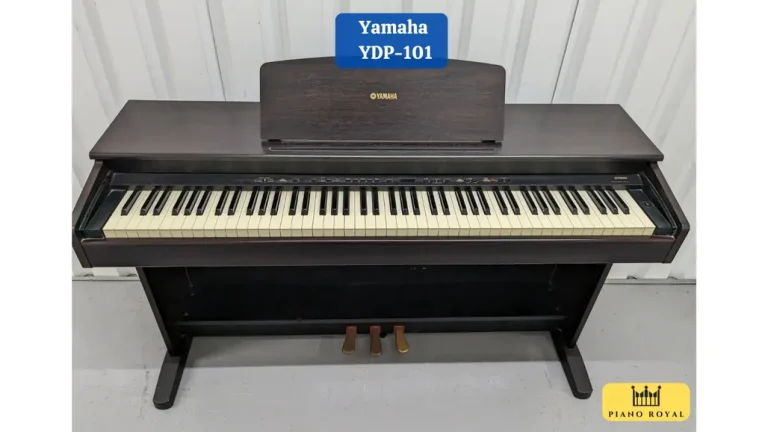 Đàn Piano Điện Yamaha YDP-101