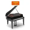 Đàn piano Yamaha N3