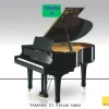 Đàn piano cơ Grand Yamaha C1 1 UTF 8Dan Piano Co Yamaha C1 28129 1