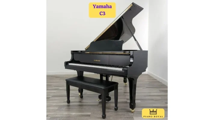 UTF 8Dan Piano Co Yamaha C3 28129