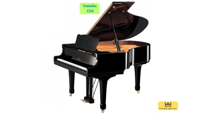 UTF 8Dan Piano Co Yamaha C3a 28129