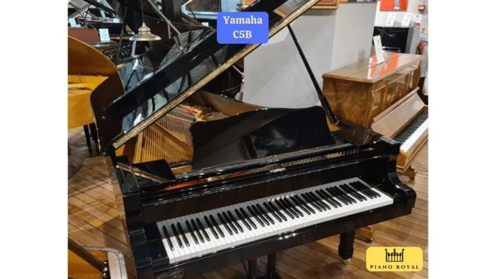 UTF 8Dan Piano Co Yamaha C5b 28129
