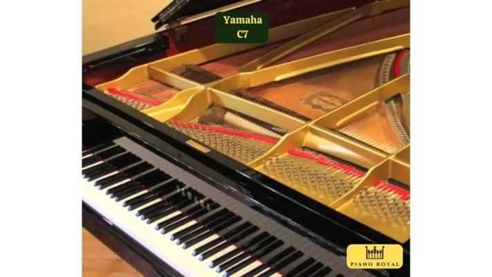 UTF 8Dan Piano Co Yamaha C7 28129