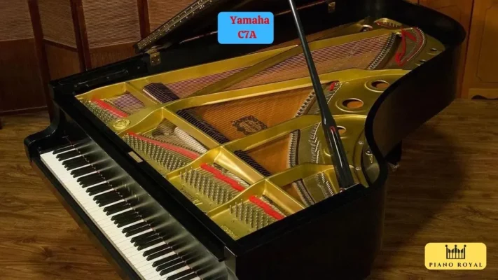 UTF 8Dan Piano Co Yamaha C7a 28129