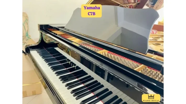 UTF 8Dan Piano Co Yamaha C7b 28129