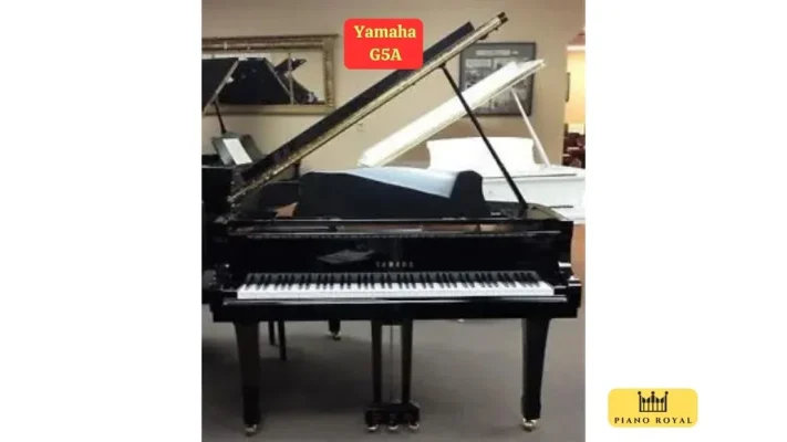Yamaha G5a sáng bừng không gian nhà bạn 7 UTF 8Dan Piano Co Yamaha G5a 28129