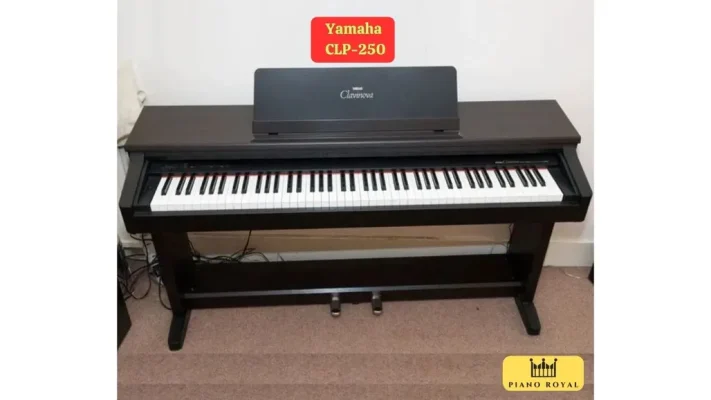 UTF 8Dan Piano Dien Yamaha Clp 250 28129