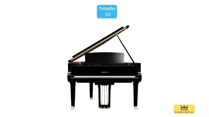 Yamaha C2 mang đến bạn hứng khởi âm nhạc 33 UTF 8Dan Piano Co Yamaha C2 28129